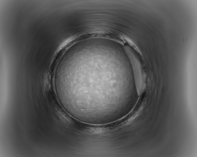 X0000086770970200704201801