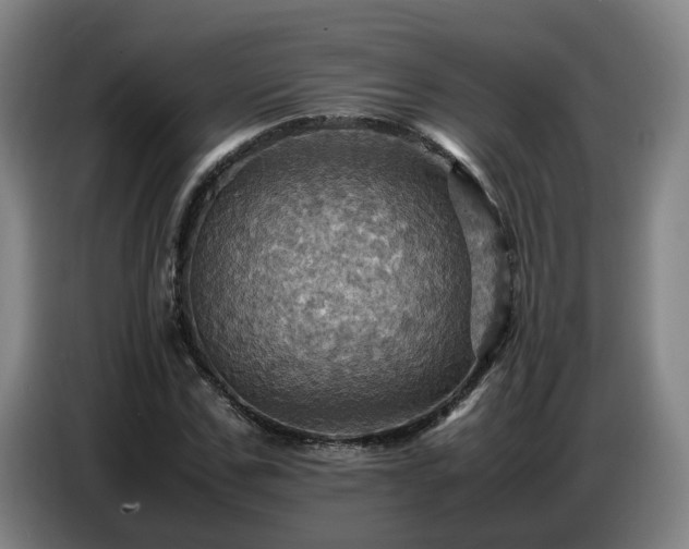 X0000086770971200704201801