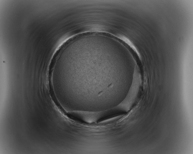 X0000086770972200704201801
