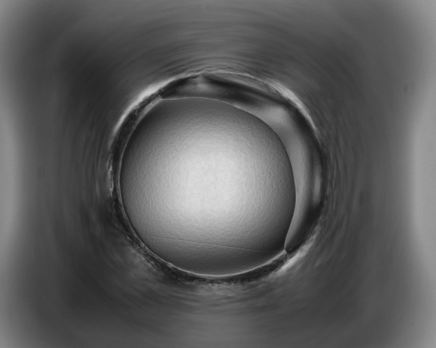 X0000086770973200704201801
