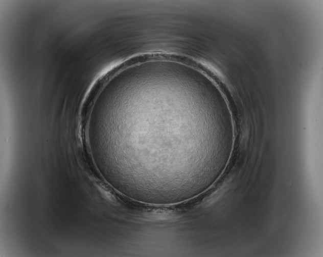 X0000086770974200704201801