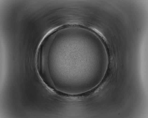 X0000086770976200704201801