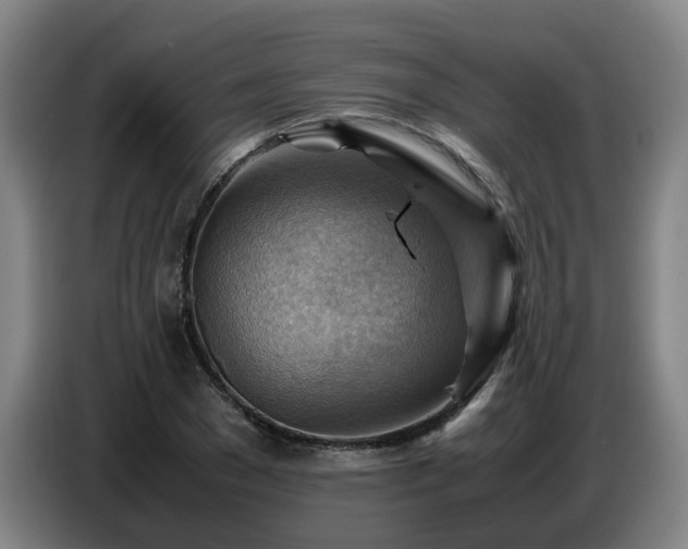 X0000086770977200704201801