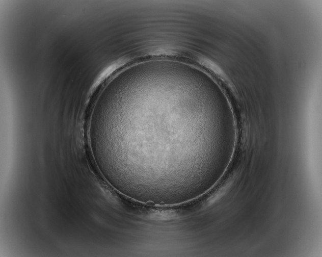 X0000086770978200704201801
