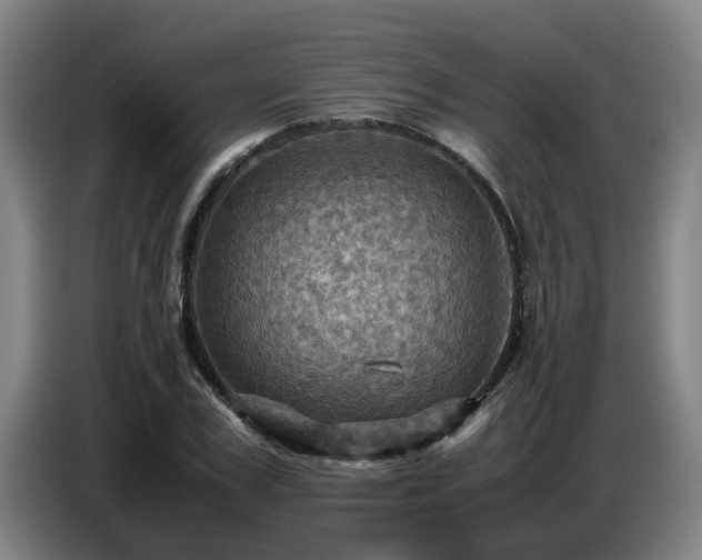 X0000086770979200704201801
