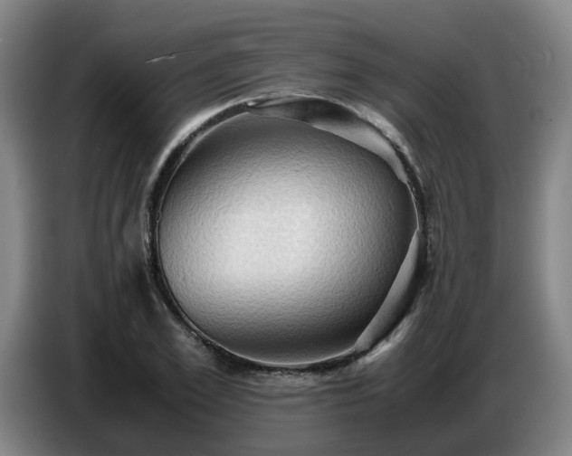 X0000086770981200704201801