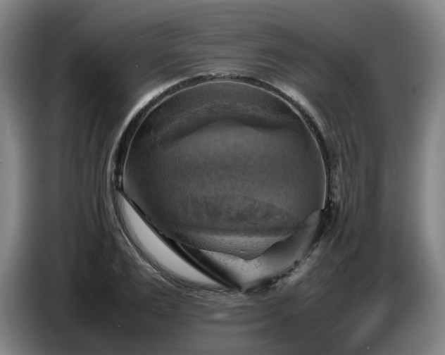 X0000086770983200704201801