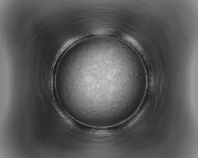 X0000086770986200704201801