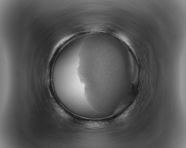 X0000086770987200704201801