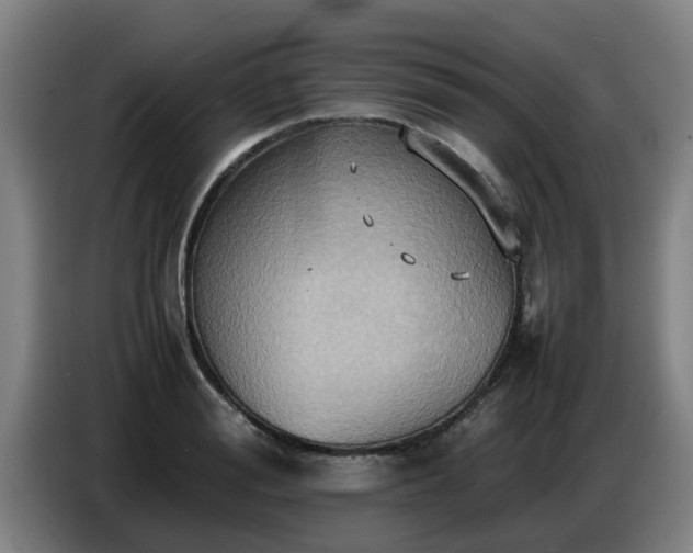 X0000086770988200704201801