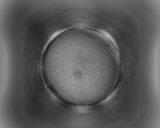 X0000086770989200704201801