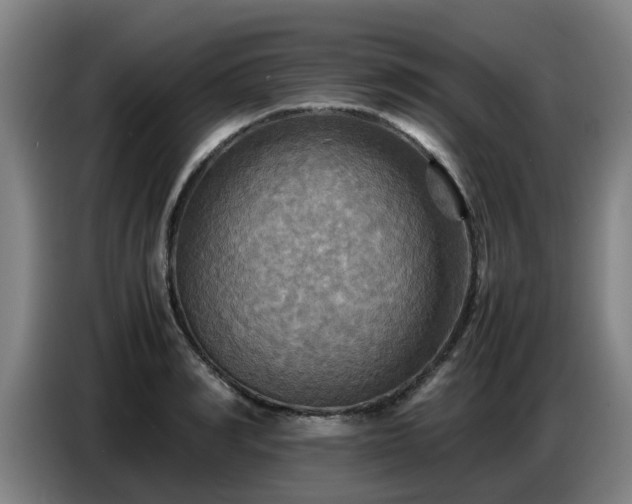 X0000086770990200704201801