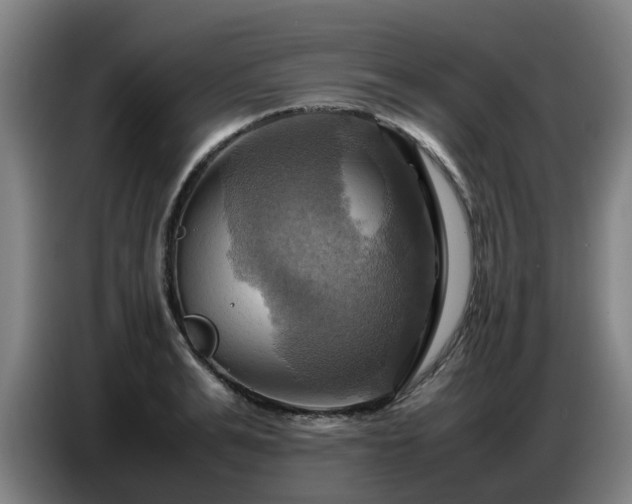 X0000086770991200704201801