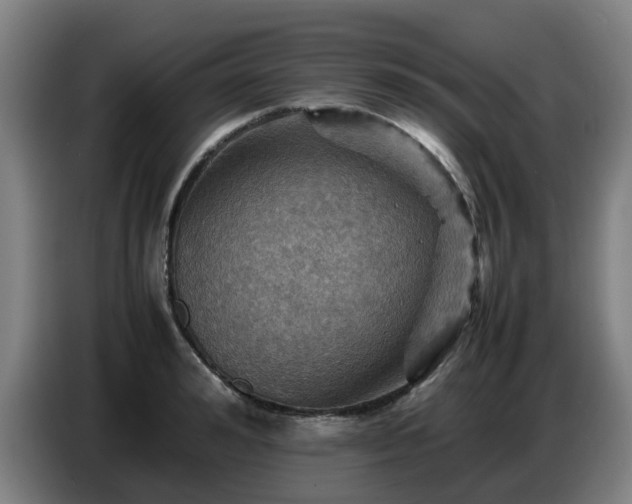 X0000086770992200704201801