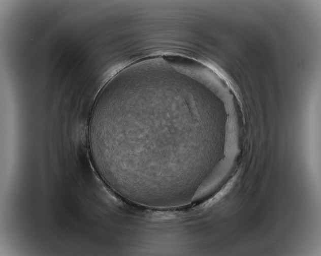 X0000086770993200704201801