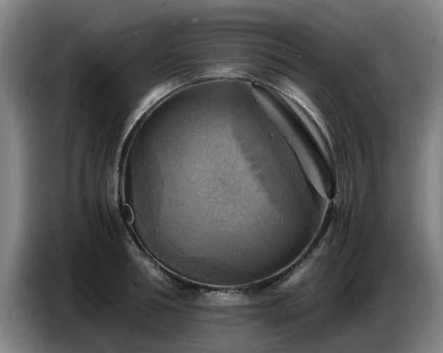 X0000086770994200704201801