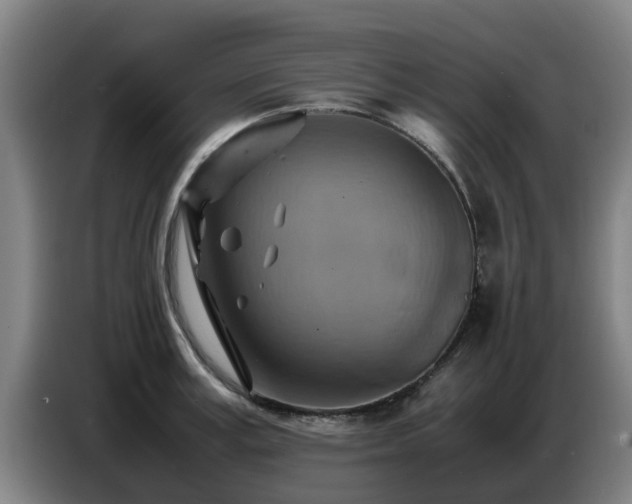X0000086770995200704201801