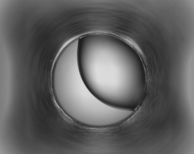 X0000086770996200704201801