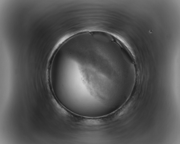 X0000086770998200704201801