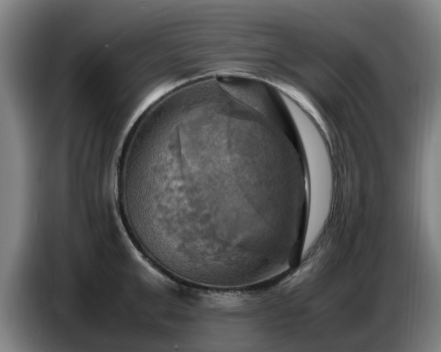 X0000086770999200704201801
