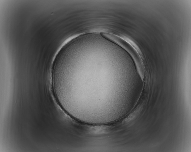 X0000086771000200704201801