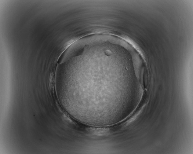 X0000086771001200704201801