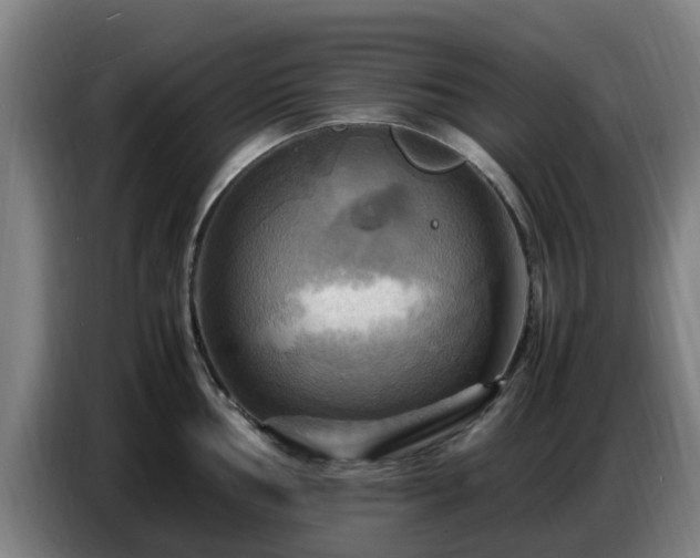 X0000086771002200704201801