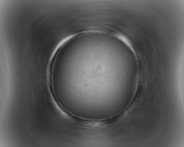 X0000086771003200704201801