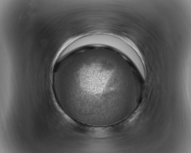 X0000086771005200704201801
