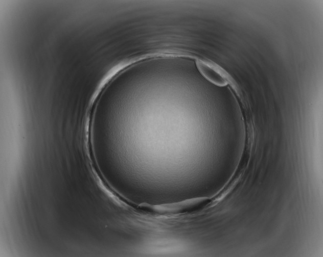 X0000086771006200704201801