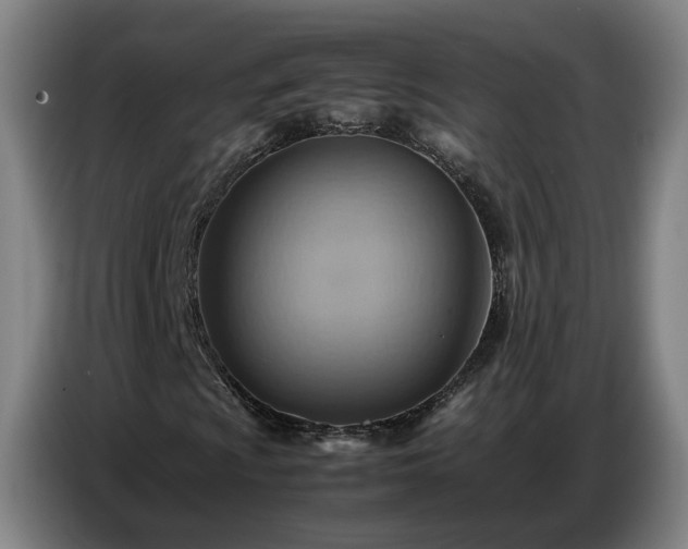 X0000086771009200704201800