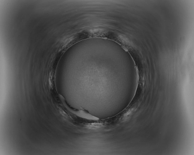X0000086771010200704201800
