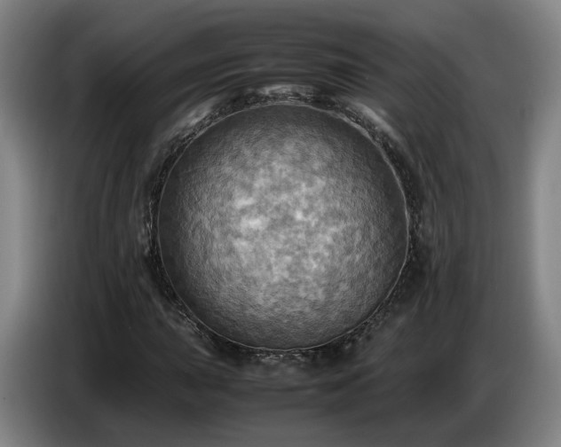 X0000086771015200704201800