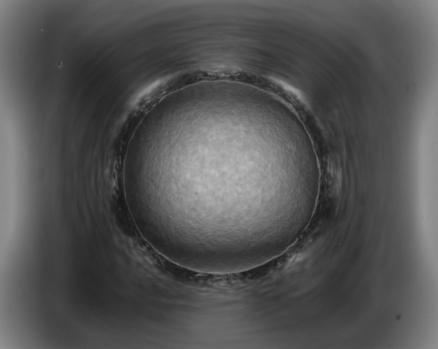 X0000086771016200704201800