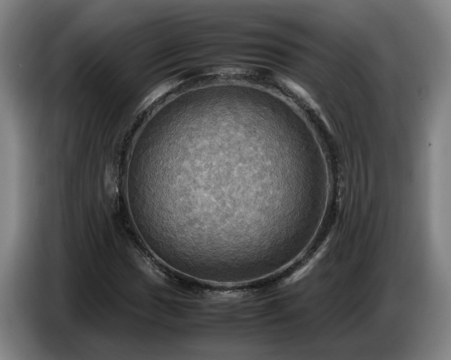 X0000086771017200704201800