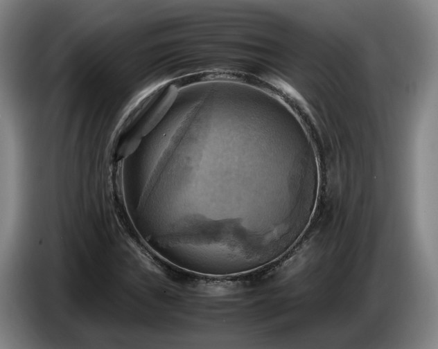 X0000086771019200704201800