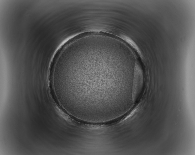 X0000086771020200704201800