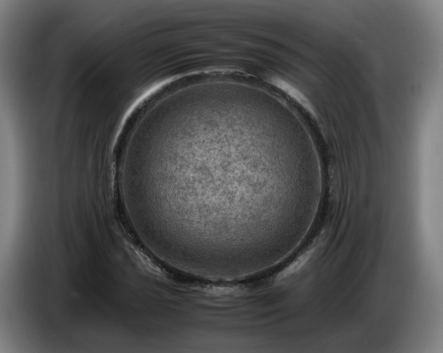 X0000086771021200704201800