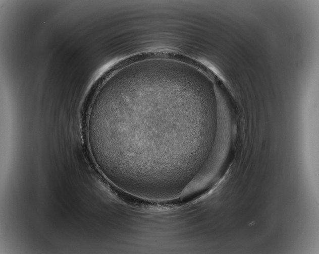 X0000086771022200704201800