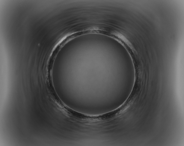 X0000086771023200704201800