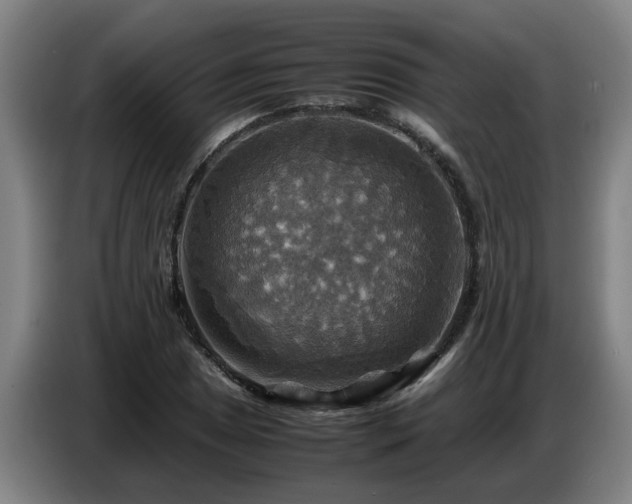 X0000086771025200704201800