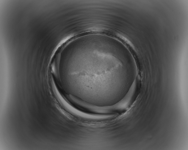 X0000086771026200704201800