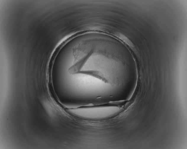 X0000086771028200704201800