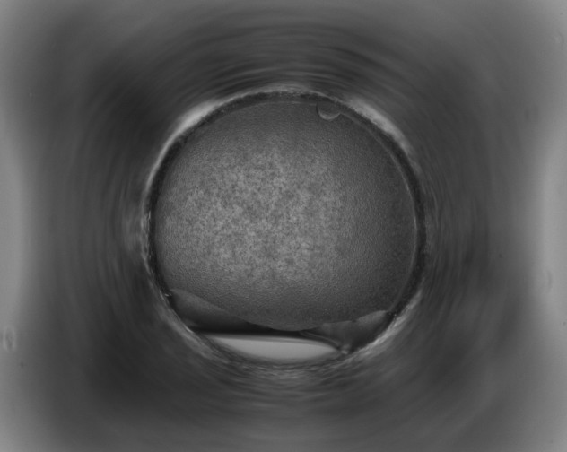 X0000086771029200704201800