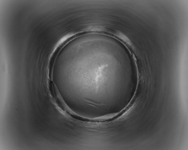 X0000086771030200704201800