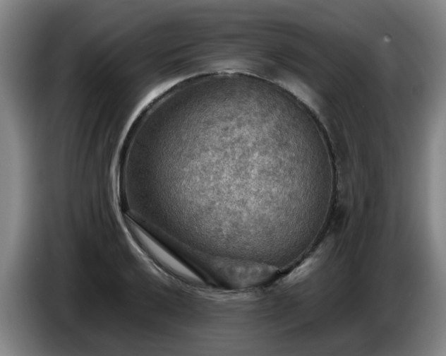 X0000086771032200704201800