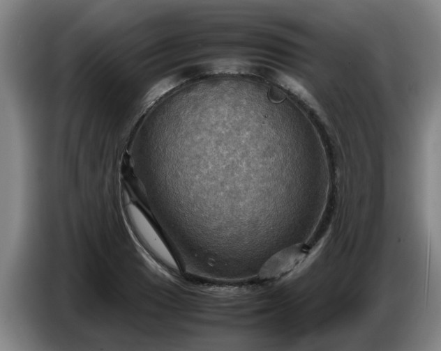 X0000086771033200704201800