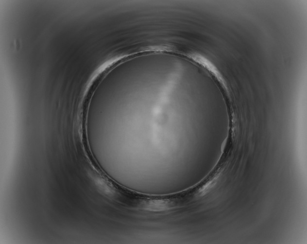 X0000086771035200704201800