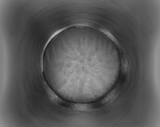 X0000086771036200704201800