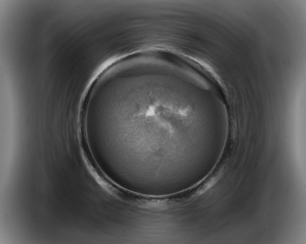 X0000086771038200704201800